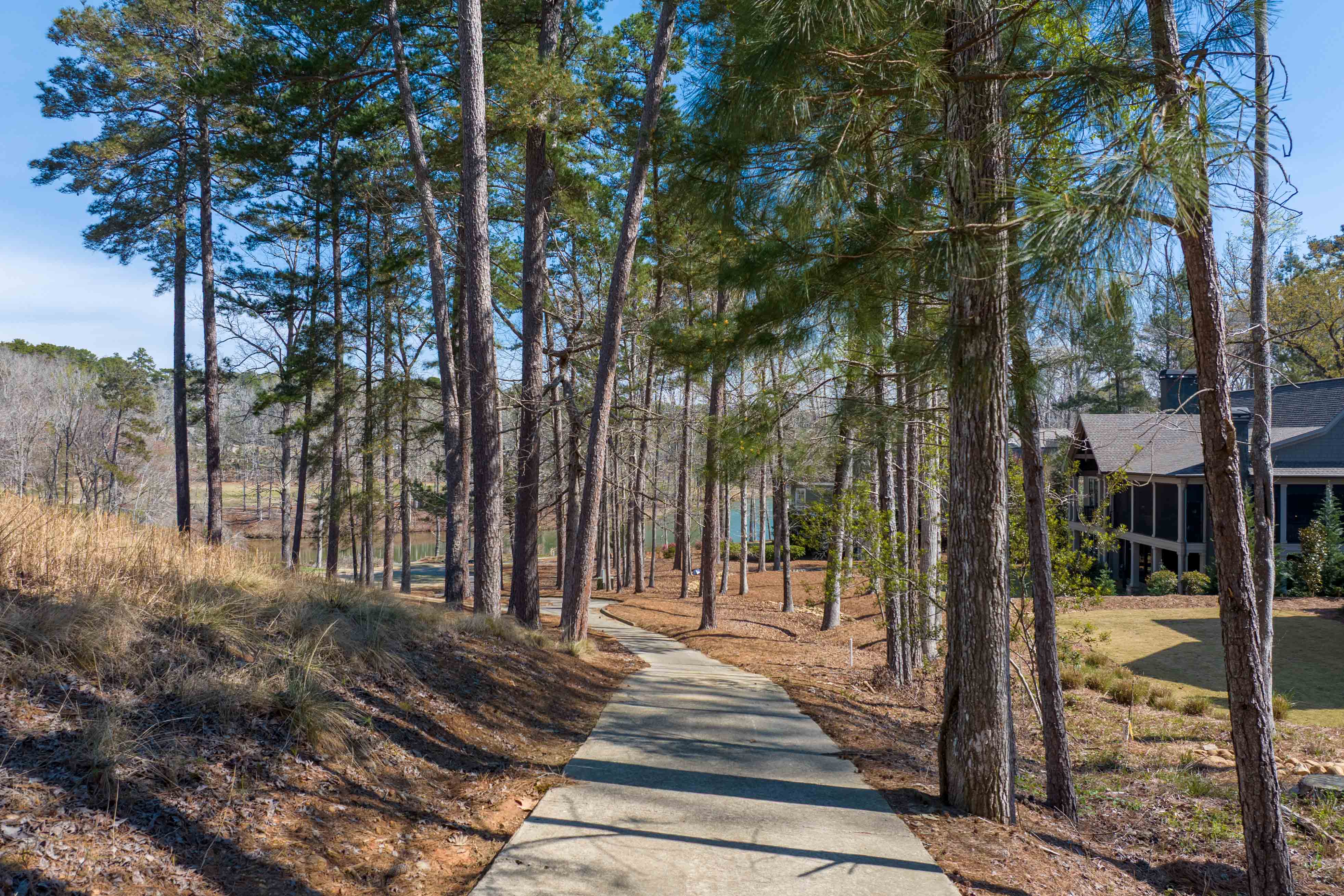 1100 Curtright Place image 70